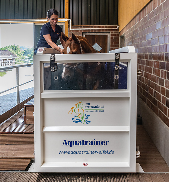 Aquatrainer für Pferde